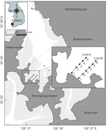 Fig. 1. A map showing the location of study area and the sampling  sites for collecting the intertidal sediment and pore water in the  southern part of Hampyeong Bay from April to October 2009.