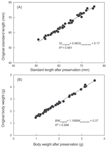 Fig. 4. Comparison of condition factors calculated from the origi- origi-nal body size, body size after preservation in 70% ethyl alcohol  for 12 days, and back-calculated body size using linear regression  equations shown in Fig