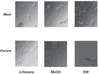 Fig. 3. Effects of proliferation inhibition against HMEC-1 cell  of MeOH, n-hexane and DW extracts of ark shell Scapharca  subcrenata treated by 98±2 ℃ , 30 min