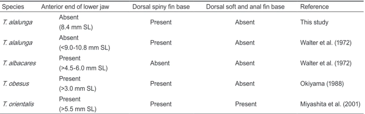 Table 1. Comparison of melanophore distribution among four Thunnus species
