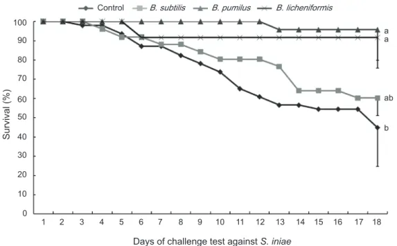 Fig. 1. Survivals of olive flounder  Paralichthys olivaceus  during the challenge test against S.iniae by immersion (10 9  CFU/mL)  after 9 weeks of the feeding trial