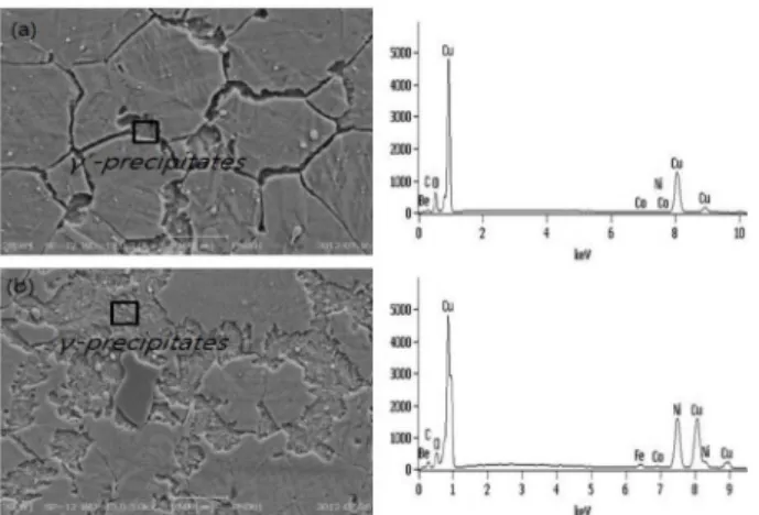 Fig. 8. SEM imgaes of the phase separated conditions. (a) 300 o C 480min. aged (b) 400 o C 360min aged