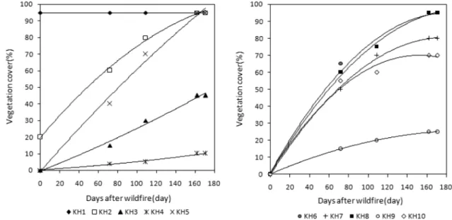 Fig. 3 Changes of the daily rainfall and cumulative rainfall during the first year after wildfire 