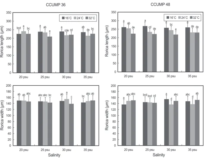 Figure 2. Rorica length and width of  Brachionus plicatilis  at different temperatures and salinities