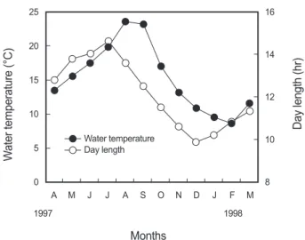 Fig. 2. External feature in parturition period (a) and matured  ovary (b) of female red marbled rockfish  Sebastiscus tertius 