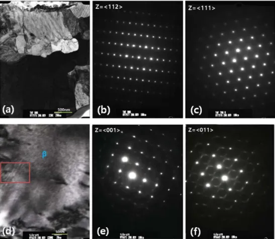 Fig. 3. SEM/EDS Analysis of (a) microstructure and (b) compositions in 880 o C rolled state