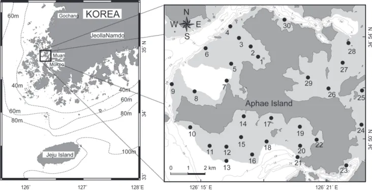 Fig. 1. A map showing the location of study area and the sampling sites for analyzing the organic matter and the metallic elements  in intertidal surface sediments of Aphae Island in June 2010