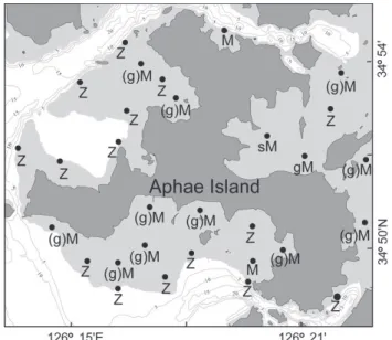 Fig. 4. The horizontal distribution of surface sediment in inter- inter-tidal zone of Aphae Island (Abbreviations: Z, silt; M, mud; (g) M, slightly gravelly mud; gM, gravelly mud; sM, sandy mud)