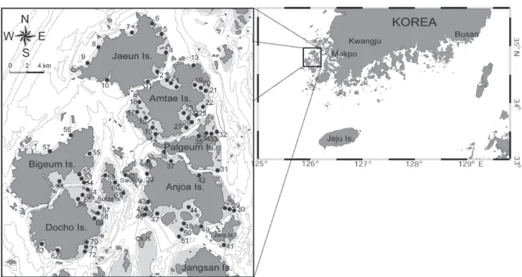 Fig. 1. A map showing the location of study area and the sampling sites for analyzing the heavy metals in intertidal surface sedi- sedi-ments of coastal islands in the western part of Jeollanam Province in July 2008