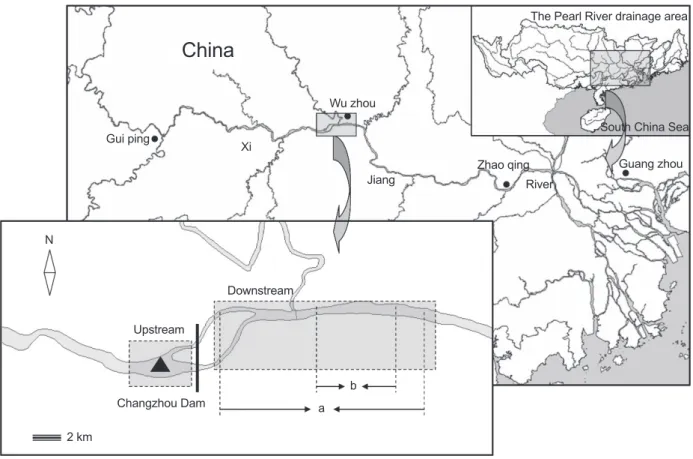 Fig.  2.  Difference  of  water  levels  between  the  upstream  and  downstream of Changzhou Dam during January through October  2010