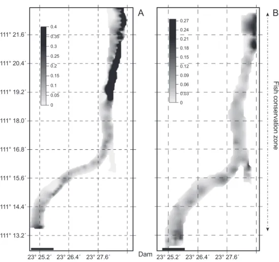 Fig. 5. Fish spatial distributions in the downstream of Changzhou Dam on 24 May 2010 (A) which is before opening the spillways  and 26 June 2010 (B) which is after closing the spillways