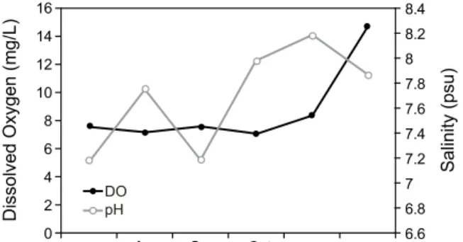 Fig.  3.  Monthly  changes  of  water  temperature  and  salinity  in  study  area.