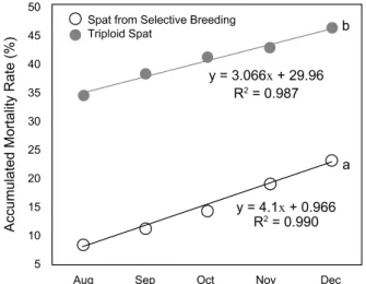 Fig.  10.  Accumulated  mortality  rate  of  experimental  oysters. 
