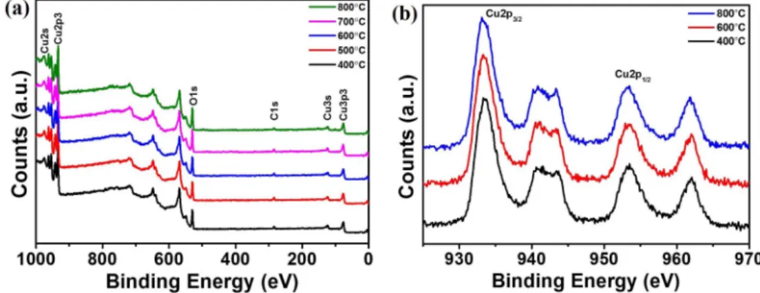 Fig. 7. (a) High resolution XPS peaks of O 1s from CuO nanowires oxidized at various temperatures of 400 o C, 600 o C, and 800 o C