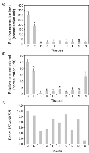 Fig.  4.  Tissues  distribution  patterns  and  basal  expression  levels  of  Oplegnathus  fasciatus  MT-A  (A)  and  MT-B  (B)  transcripts,  as  judged  by  real-time  RT-PCR  assay