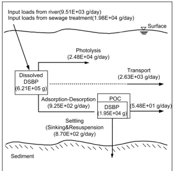 Fig.  5.  The  mass  balance  of  DSBP  in  Tokyo  Bay  using  the  simulated  results  of  EMT-3D.