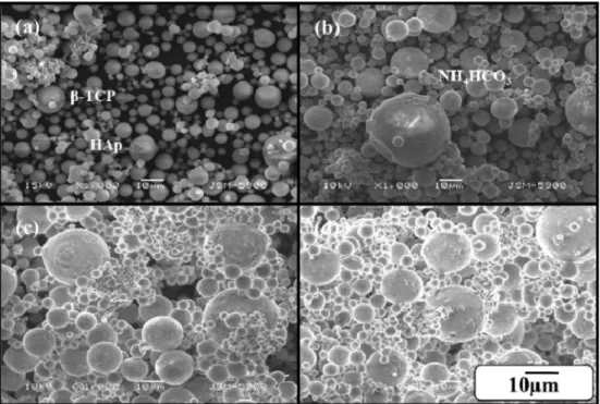 Fig. 3. The XRD results of mixed powders (a) and sintered HA/β-TCP composites (b).