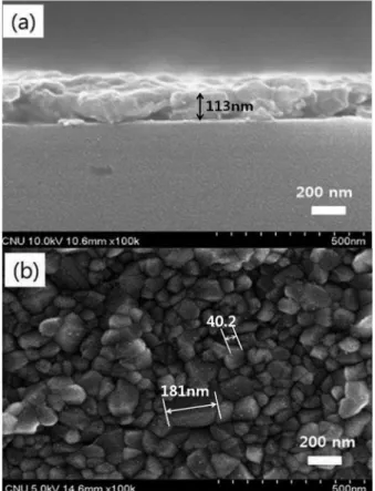 Fig. 2. Typical XRD patterns of the spin-coated CuO thin films.