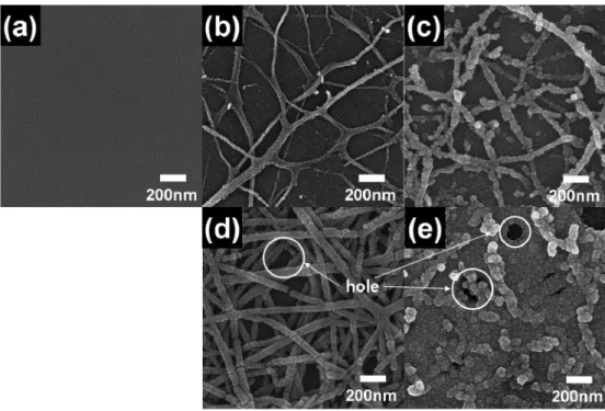 Fig. 2. FESEM images obtained from (a) ATO sol, (b) sample A, (c) sample B, (d) sample C, and (e) sample D.