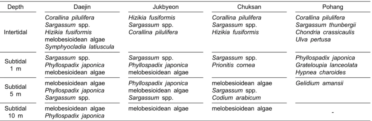 Table  5.  A  comparison  of  vertical  distribution  pattern  of  benthic  marine  plants  at  four  sampling  sites  on  the  East  Coast  of  Korea  (species  :  >5%  mean  coverage)