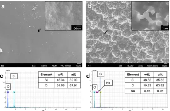 Fig. 5. XRD patterns of nano-silica before and after calcination. (a) a nano-silica with pH 2, (b) a nano-silica with pH 10.