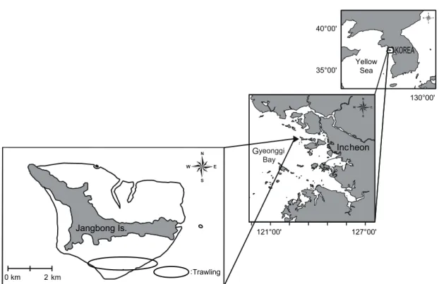 Fig.  1.  Location  of  the  sampling  sites  on  the  tidal  flat  around  Jangbong  Island,  Incheon,  Korea