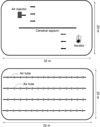 Fig. 1. Layout of ponds 1 (upper) and 2 (lower). Pond lined with HDPE plastic sheet. Pond 2 provided with DPD system for aeration
