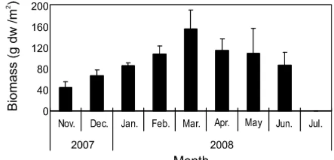 Fig. 2. Monthly variations of water temperature and salinity in Sargassum beds in Gamak Bay, Korea.