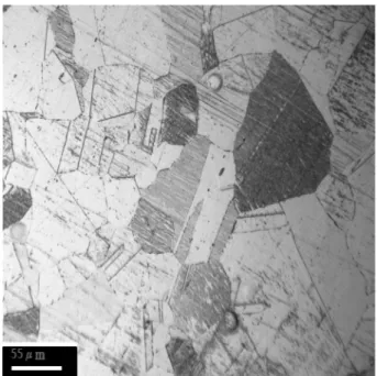Fig. 3. SEM micrograph of 70 % cold rolled high manganese austenitic stainless steel.