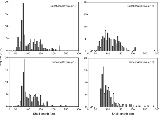 Fig.  4.  Frequency  distribution  of  shell  length  of  Anadara  subcrenata  larvae  in  Suncheon  and  Boseong  Bays  in  August  2008.