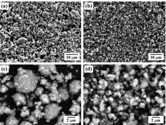 Fig. 2. XRD pattern of the oxidized Sn powder, heat-treated at 670