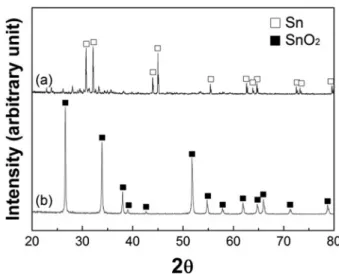 Fig. 5. SEM micrographs of Sn/Sn-chloride mixture, heat-treated (a) at 200 o C in H 2  atmosphere and (b) at 670 o C in air.