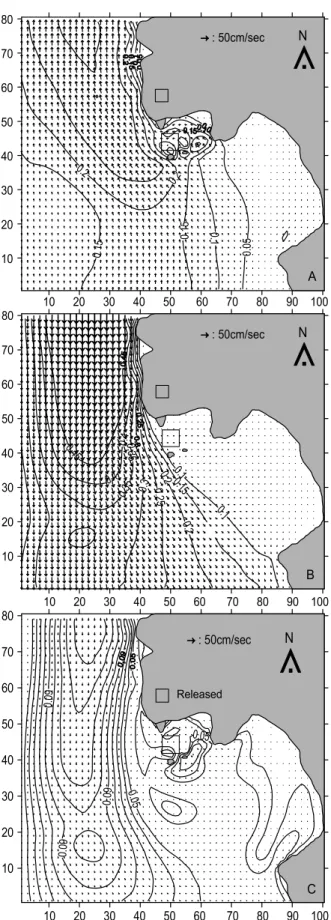 Fig.  3.  Simulation  of  seawater  movement  in  flood  (A),  ebb  (B)  and  residual  (C)  current  in  the  study  area.