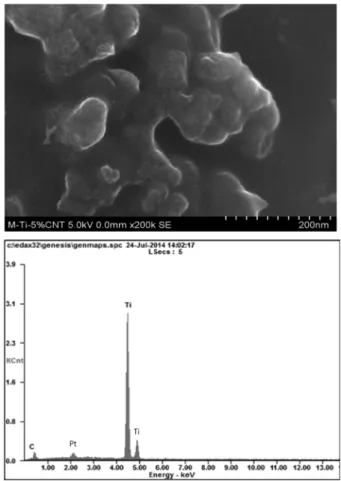 Fig. 6. FE-SEM image and EDS of a Ti-16 mole% TiC composite.