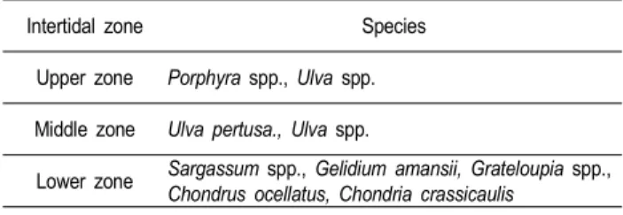 Table  3.  General  vertical  distribution  of  marine  algae  observed  at  study  sites