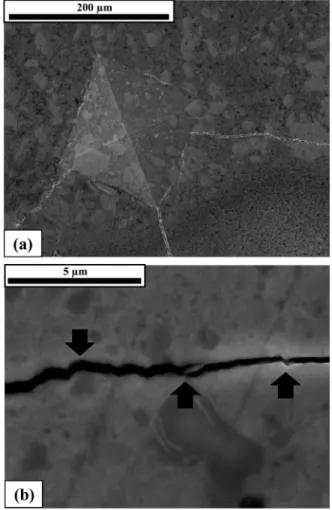 Fig. 8. SEM image (a) and TEM image (b) of 2/3Cr- ZrO 2  com- com-posite sintered to 600 o C.