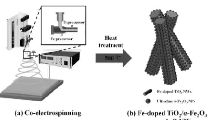 Fig. 1. Schematic illustration for Fe-doped TiO 2 / α-Fe 2 O 3  core-shell NWs fabricated using co-electrospinning.