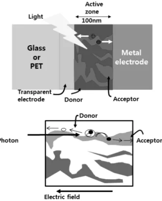 Fig. 2 의 donor-acceptor 이중층을  이용한 BHJ 구조에 서  전자친화력(electron affinity)과  이온화   포텐셜(ioni-zation potential) 의  차이로  두  유기물의  경계면에서  정전 력이  발생한다