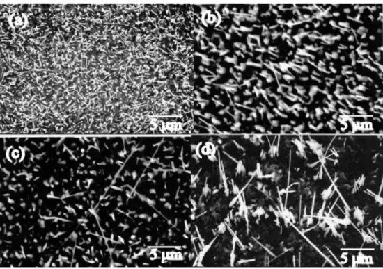 Fig. 5. XRD patterns of the products prepared through thermal oxidation of Cu plate at 800 o C for (a) 1 h, (b) 5 h and (c) 10 h in air.