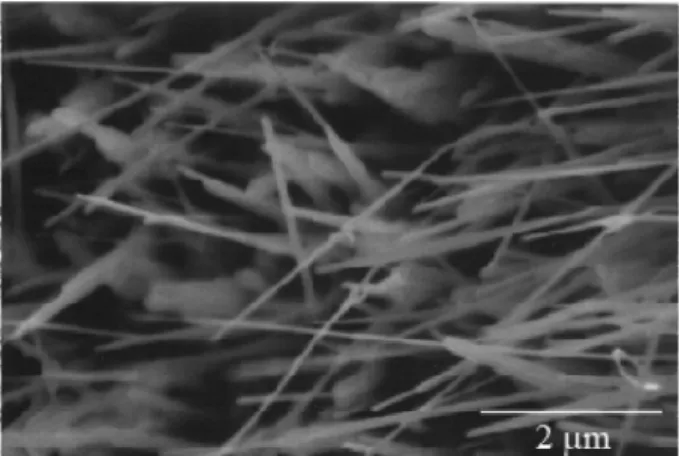 Fig. 6. High magnification SEM image of Cu 2 O nanowires prepared through thermal oxidation of Cu plate at 700 o C for 10 h in air.