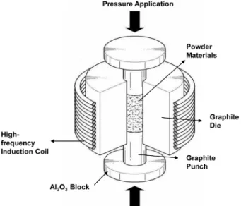 Fig. 2 shows SEM images of the raw powders used.