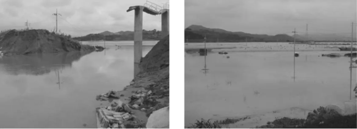 Fig. 1 State of collapse and inundation at BakSan Levee