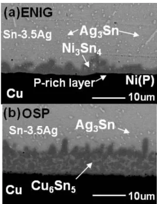 Fig. 5 는  열처리  온도에  따른 Sn-3.5Ag BGA 솔더  범 프의 표면처리 별 활성화 에너지를 나타낸 그래프이다. 이Fig. 1. (a) Schematic diagram and (b) cross-sectional BSE image