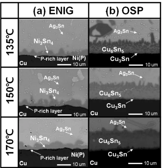 Fig. 3. Enlarged BSE micrographs of cross-sectioned solder/surface finishes after annealing at 135 o C, 150 o C, and 170 o C for 1000 h: (a) ENIG and (b) OSP