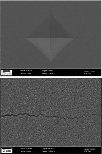 Fig. 9. Vickers hardness indentation and crack propagation in the Mg 4 Al 2 Ti 9 O 25  compound.
