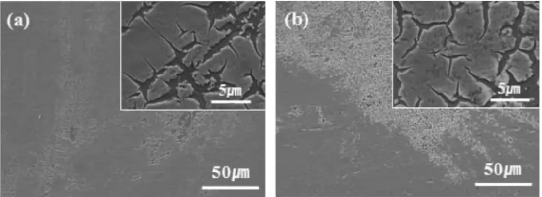 Fig. 1. Surface images of the as-prepared tungsten oxide electro-deposits prepared by normal continuous potentiostatic deposition for (a) 15 s and (b) 60 s.