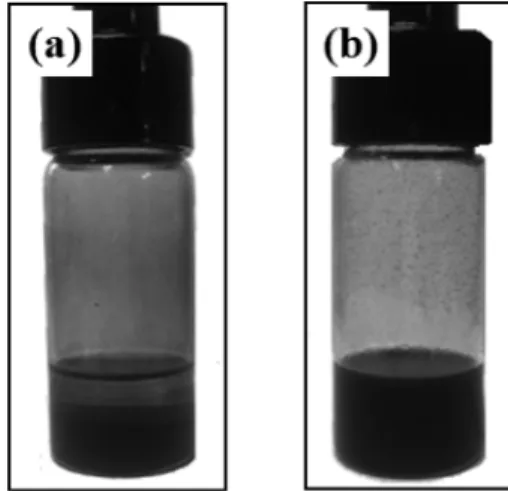 Fig. 2. Backscattering intensity versus the height in the sample at different times for the camphene/CuO-SnO 2  slurry: (a) without and (b) with dispersant.