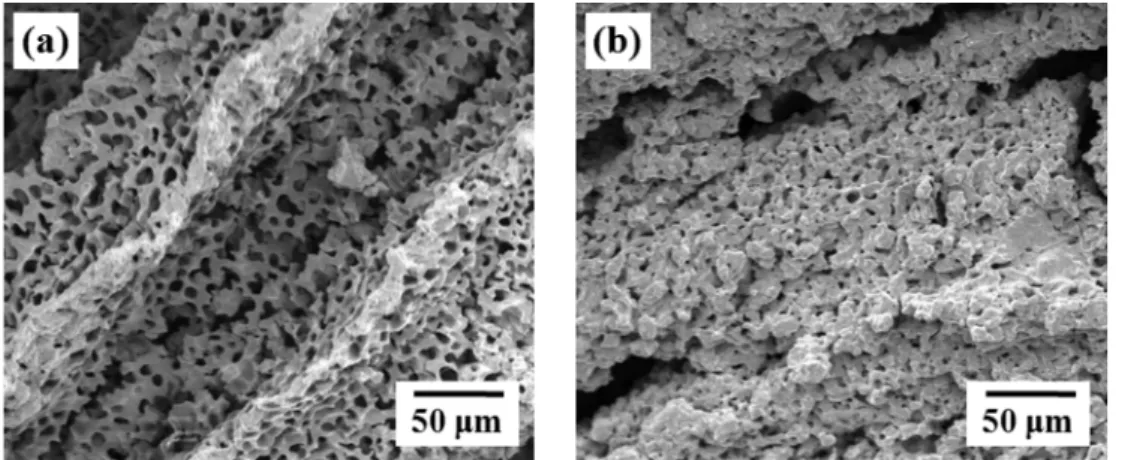 Fig. 6. SEM micrographs for the camphene/10 vol% CuO-SnO 2  samples, hydrogen-reduced at 650 o C and sintered at (a) 650 o C and (b) 750 o C.