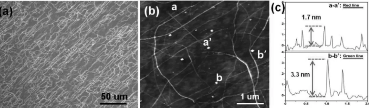 Fig. 2. A representative (a) SEM and (b) AFM images show SWNTs grown on quartz substrate