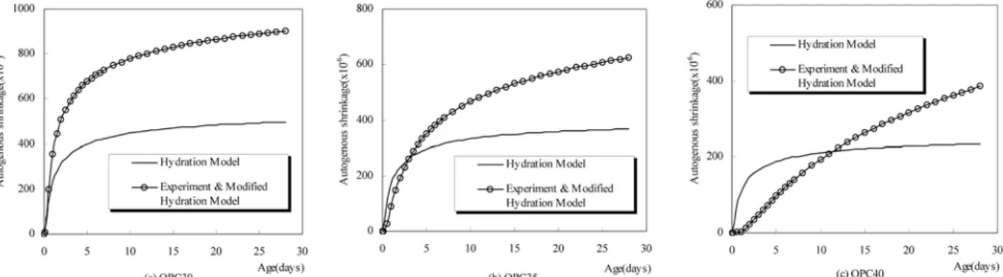 Fig. 10 Cement paste autogenous shrinkage experiments ,hydration model and modified hydration model